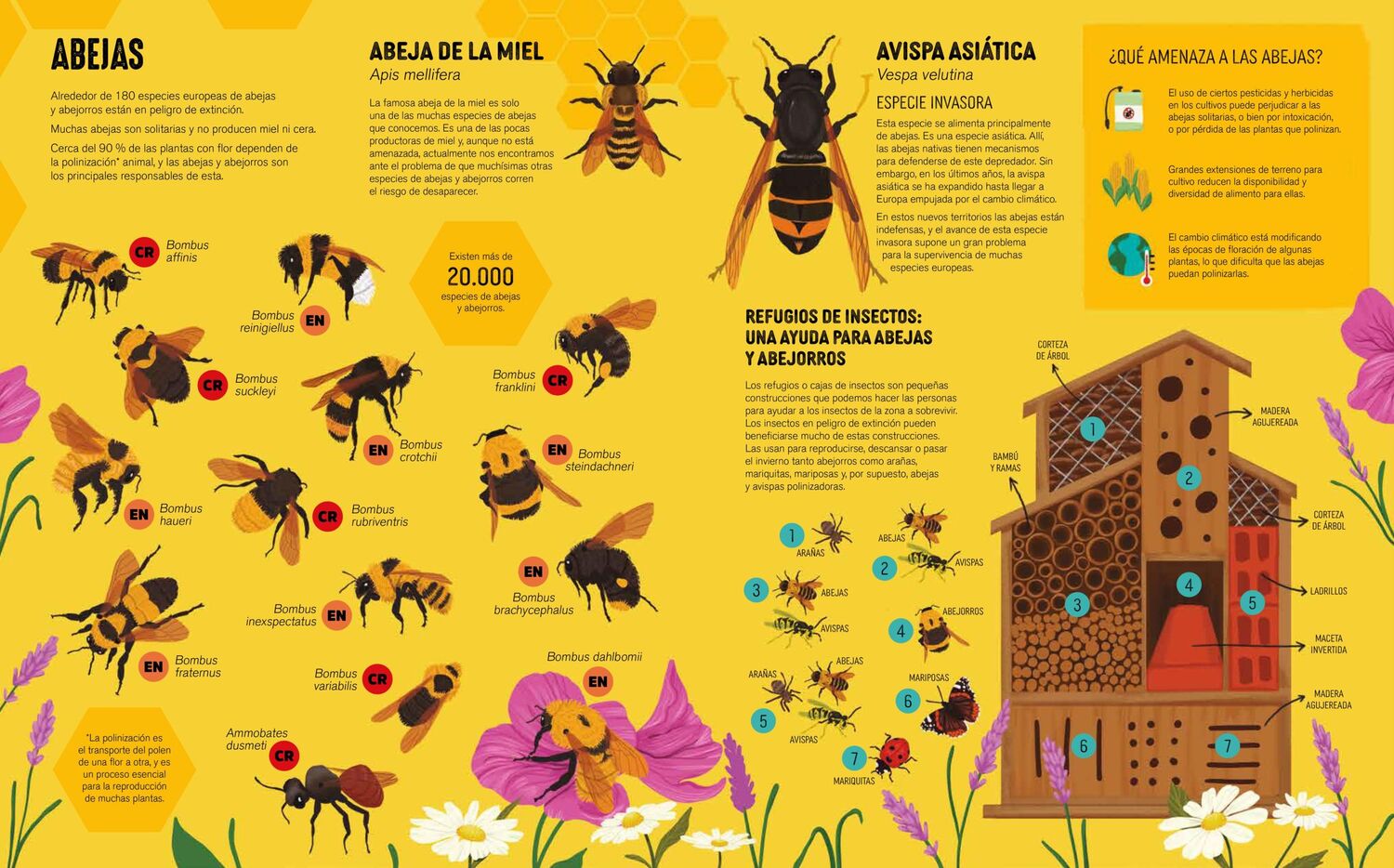 Bild: 9783038762737 | Atlas der bedrohten Tiere | Die rote Liste der Weltnaturschutzunion