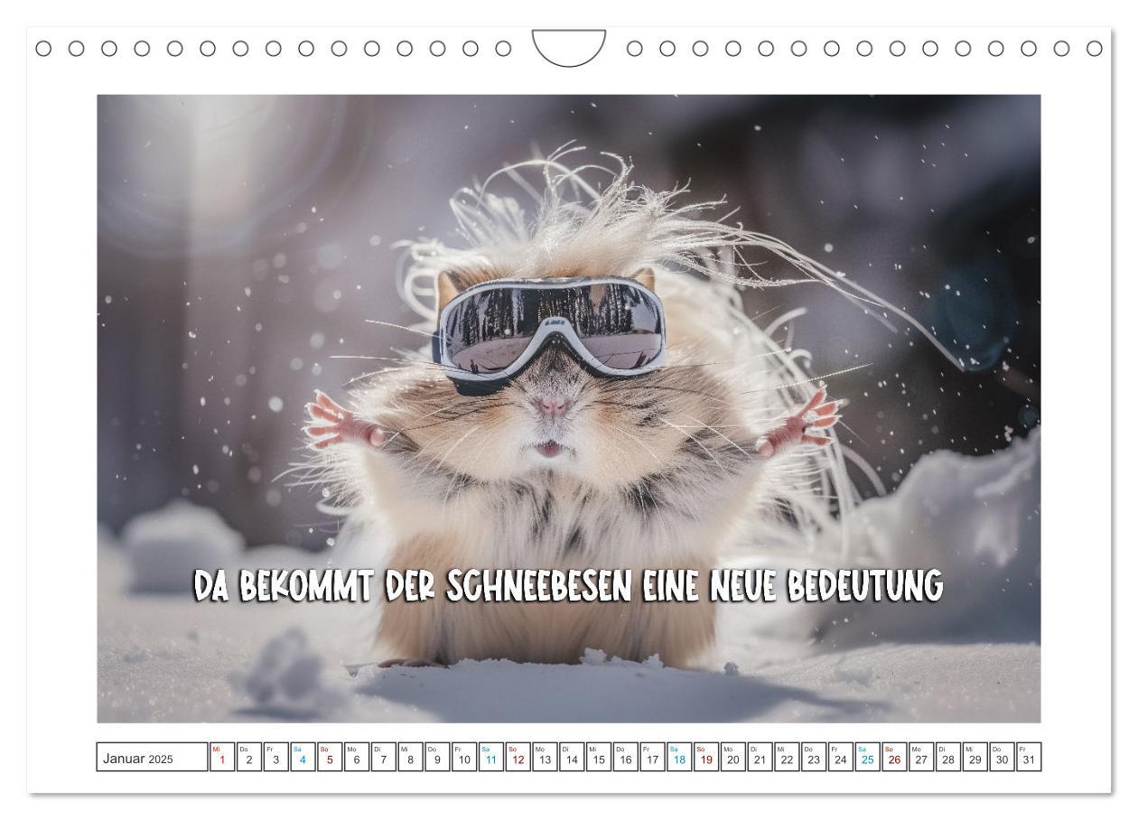 Bild: 9783457158029 | Humorvoll durch das Jahr (Wandkalender 2025 DIN A4 quer), CALVENDO...