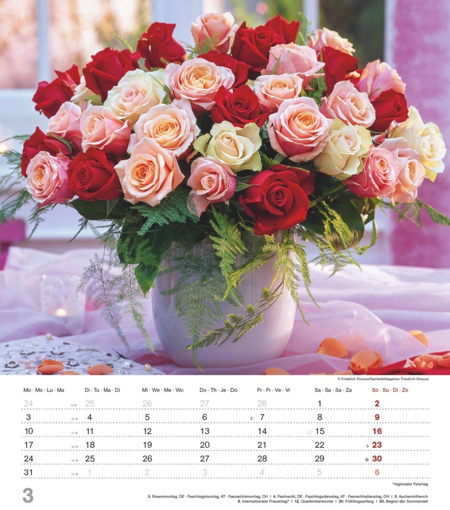 Bild: 4251732342135 | Alpha Edition - Der Duft der Rosen 2025 Bildkalender, 30,x34cm,...