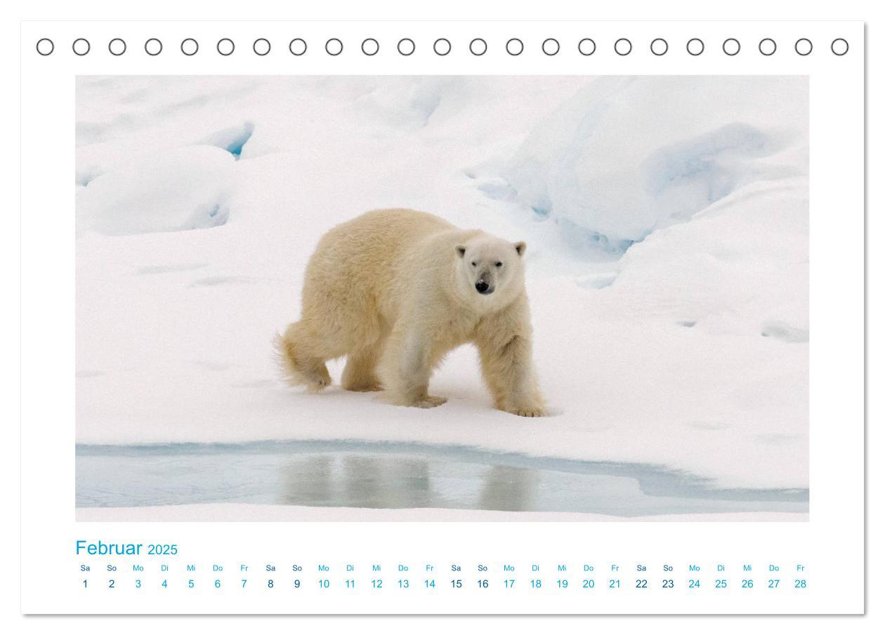 Bild: 9783435338559 | Spitzbergen - Landschaft - Eis - Tierwelt (Tischkalender 2025 DIN...