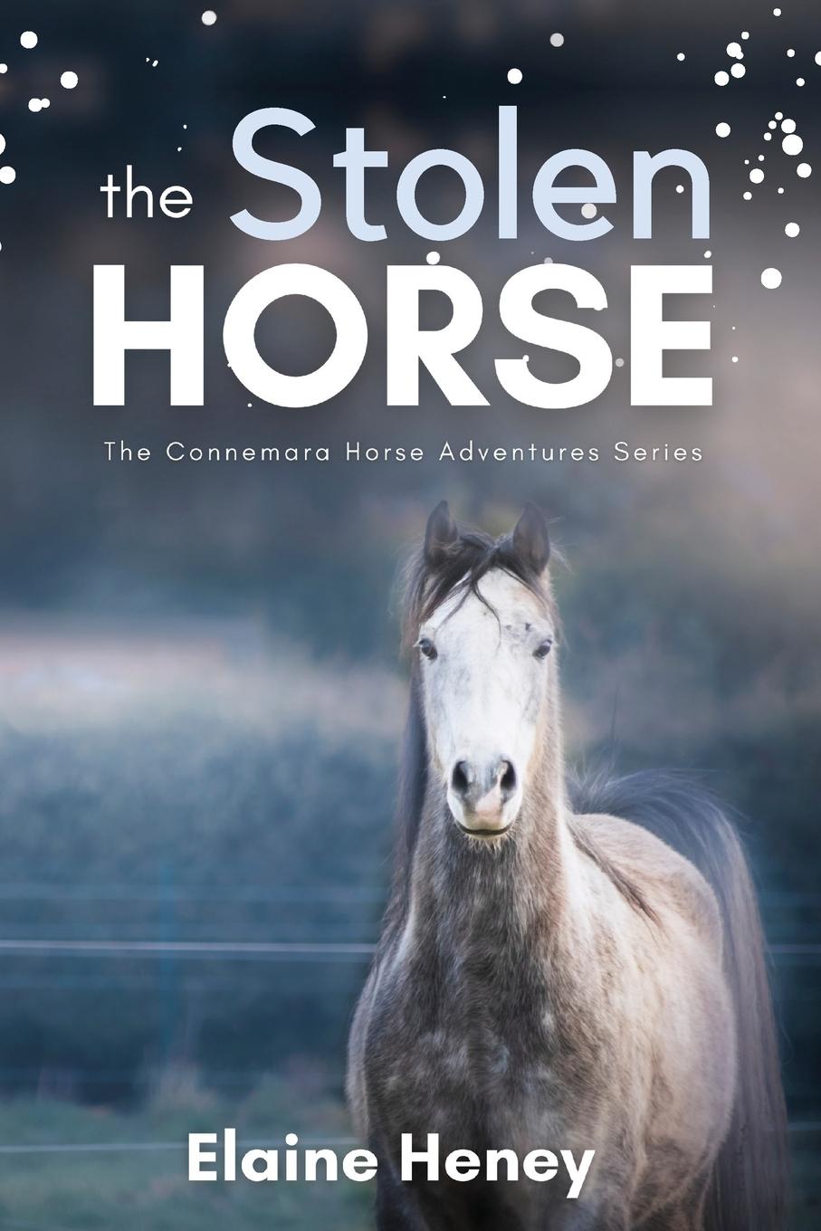 Cover: 9781915542014 | The Stolen Horse - Book 4 in the Connemara Horse Adventure Series...