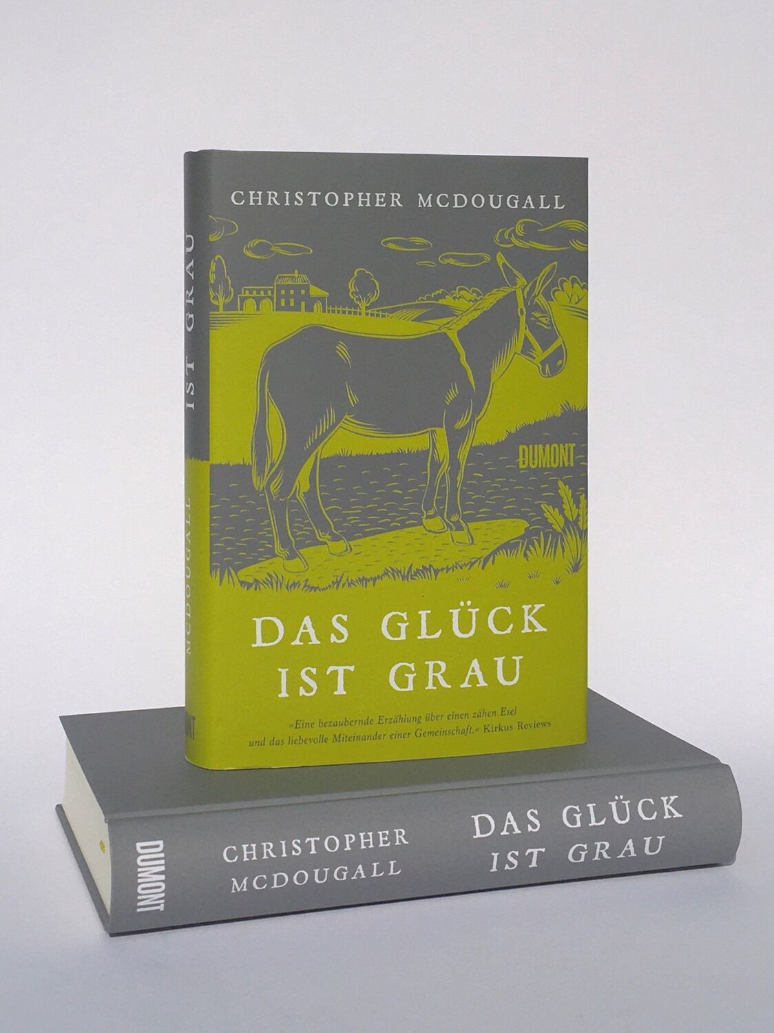 Bild: 9783832181185 | Das Glück ist grau | Christopher Mcdougall | Buch | 416 S. | Deutsch