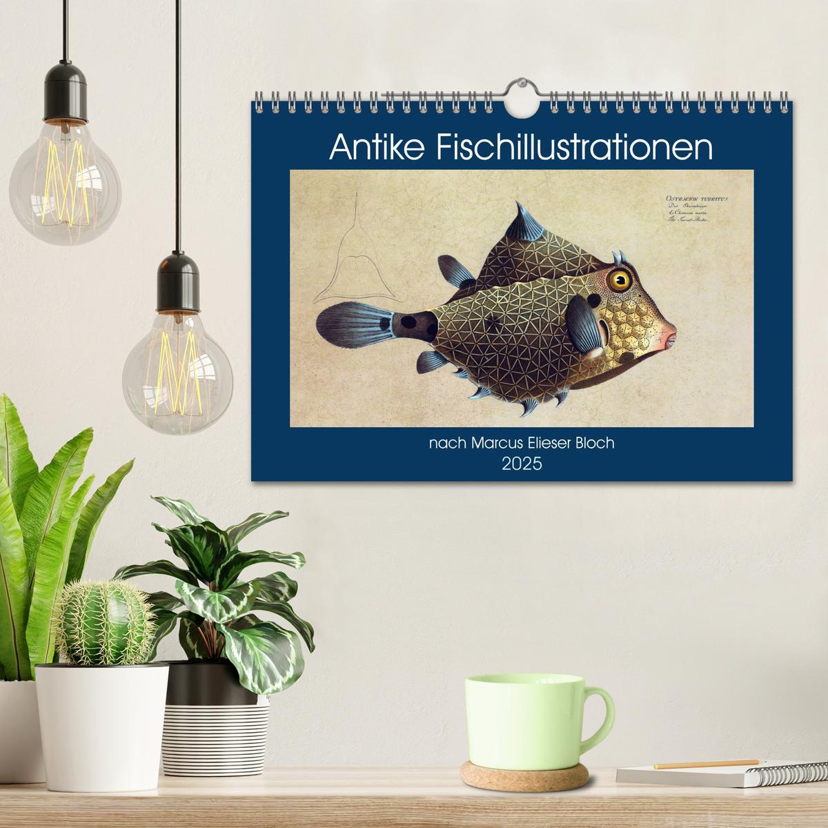 Bild: 9783435125081 | Antike Fischillustrationen nach Marcus Elieser Bloch (Wandkalender...