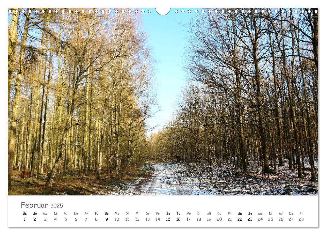 Bild: 9783435269891 | Wald - bezaubernde Wälder (Wandkalender 2025 DIN A3 quer), CALVENDO...