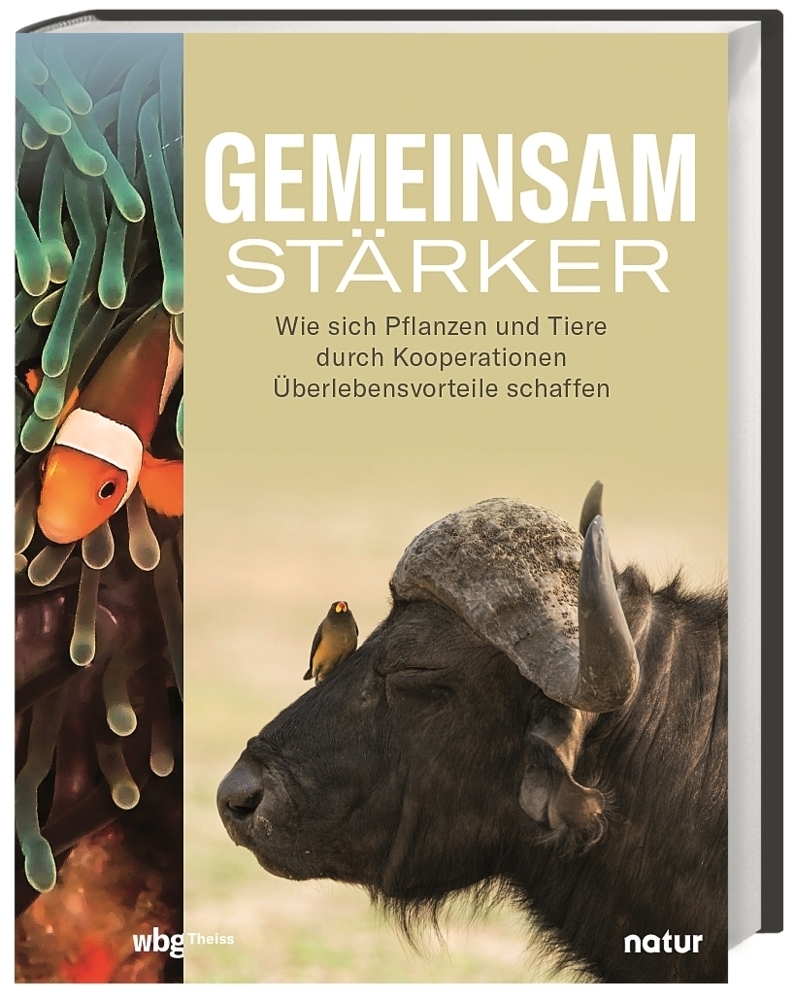 Cover: 9783806246575 | Gemeinsam stärker | Andrea Stegemann | Buch | 128 S. | Deutsch | 2023