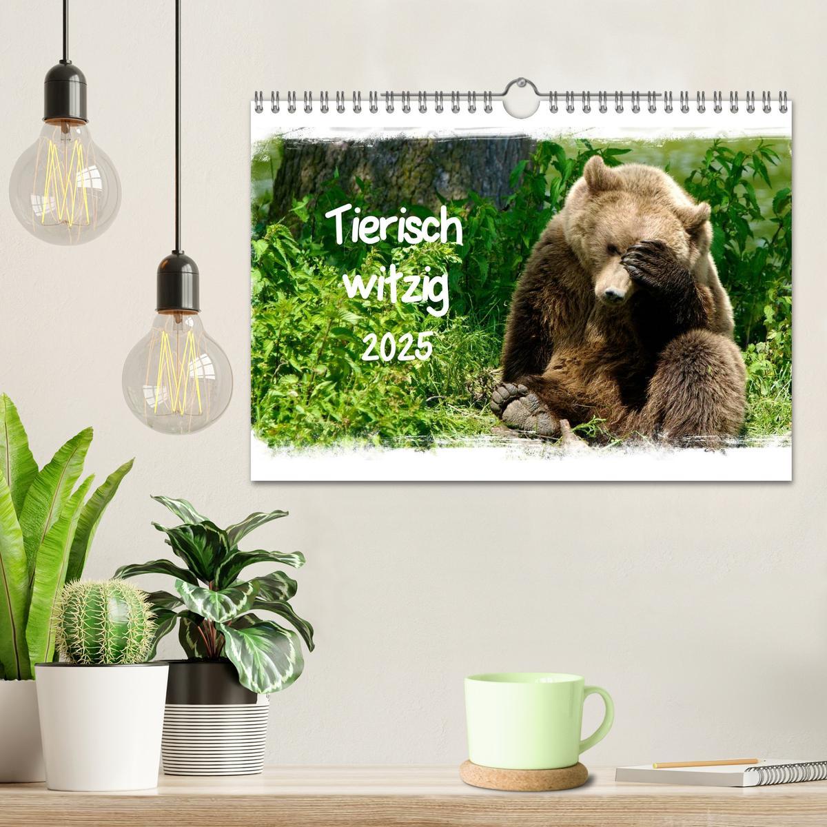 Bild: 9783435606955 | Tierisch witzig (Wandkalender 2025 DIN A4 quer), CALVENDO...