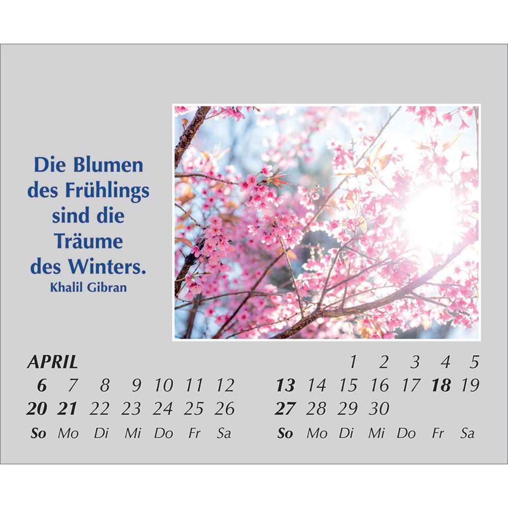 Bild: 9783754861554 | Hoffnung für jeden Tag 2025 | Kalender | Spiralbindung. Spiralbindung