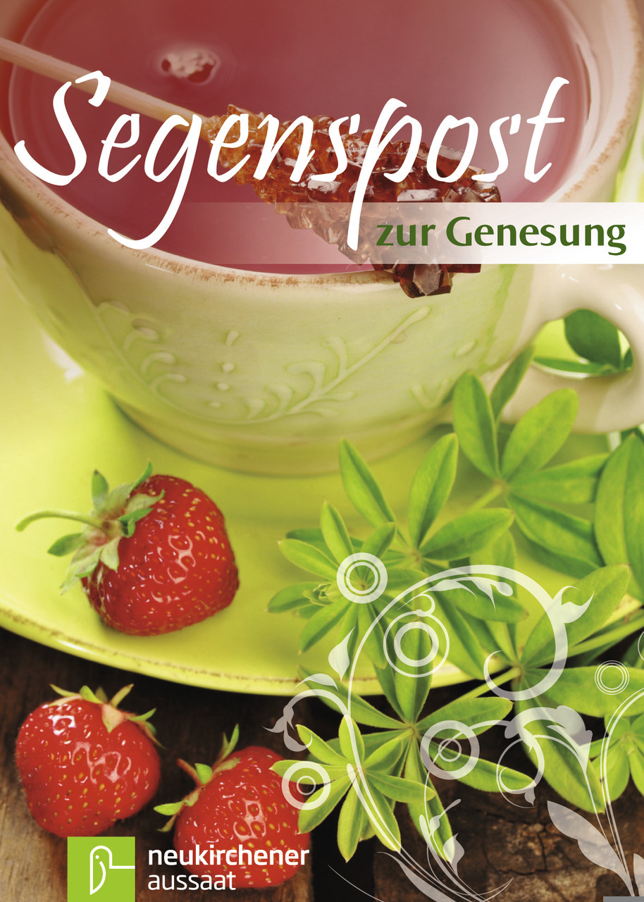 Cover: 9783761558201 | Segenspost zur Genesung | Eleonora Reimer Ulrike Rauhut | Buch | Buch