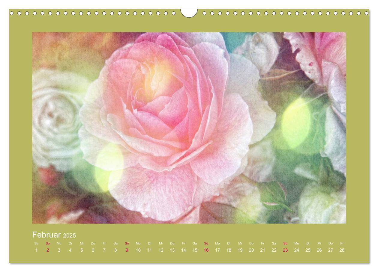 Bild: 9783435737130 | Romantische Rosen (Wandkalender 2025 DIN A3 quer), CALVENDO...