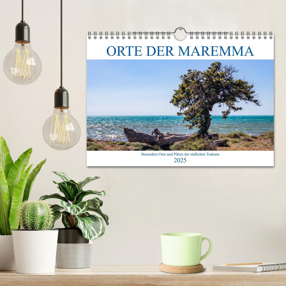 Bild: 9783435096039 | Orte der Maremma (Wandkalender 2025 DIN A4 quer), CALVENDO...