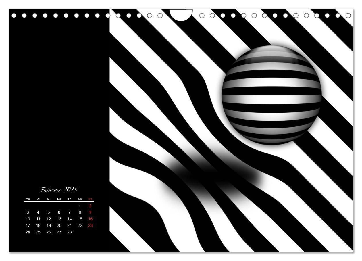 Bild: 9783435795338 | Schwarz trifft Weiß (Wandkalender 2025 DIN A4 quer), CALVENDO...