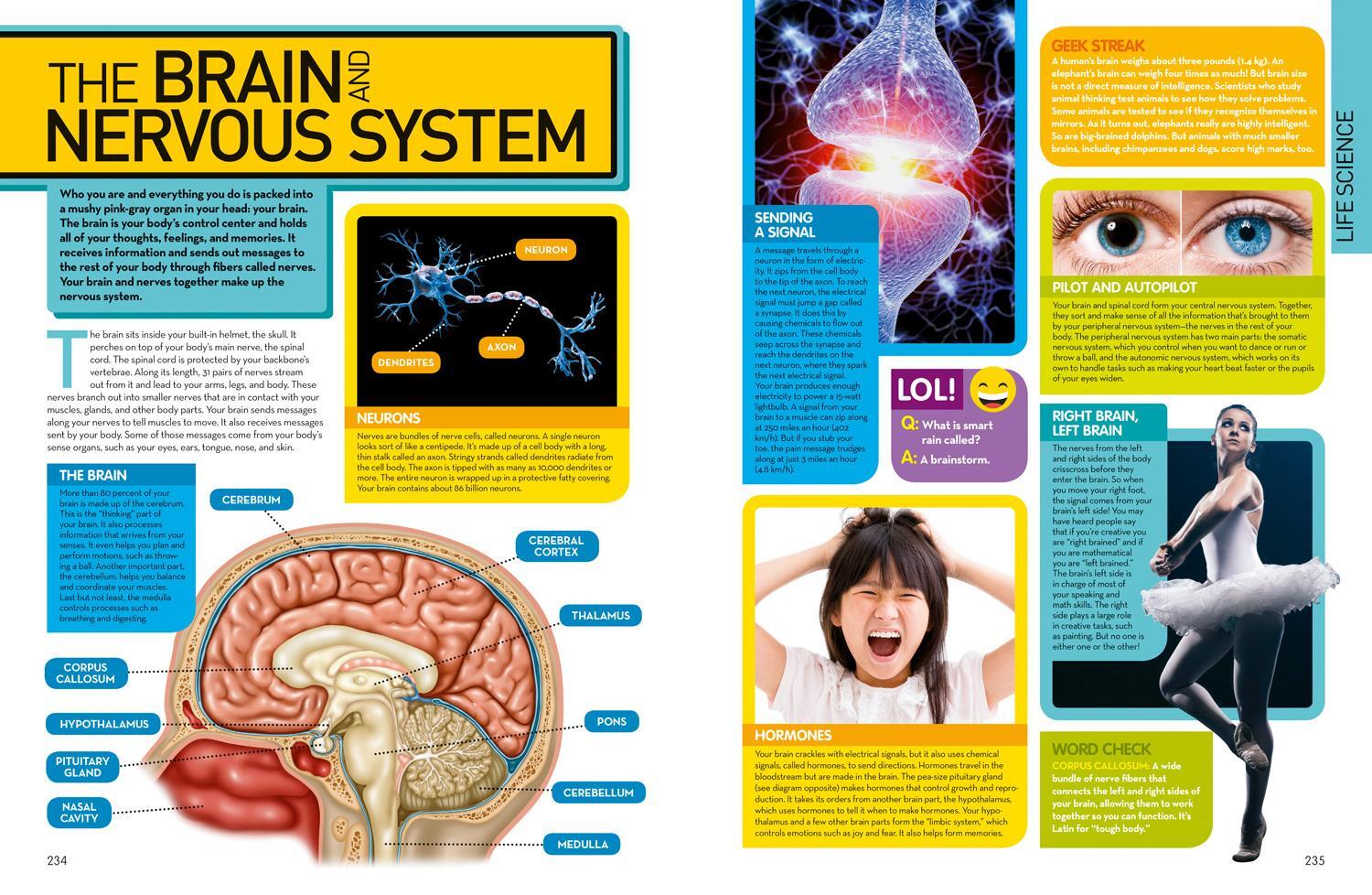 Bild: 9781426325427 | Science Encyclopedia | National Geographic Kids | Buch | Gebunden