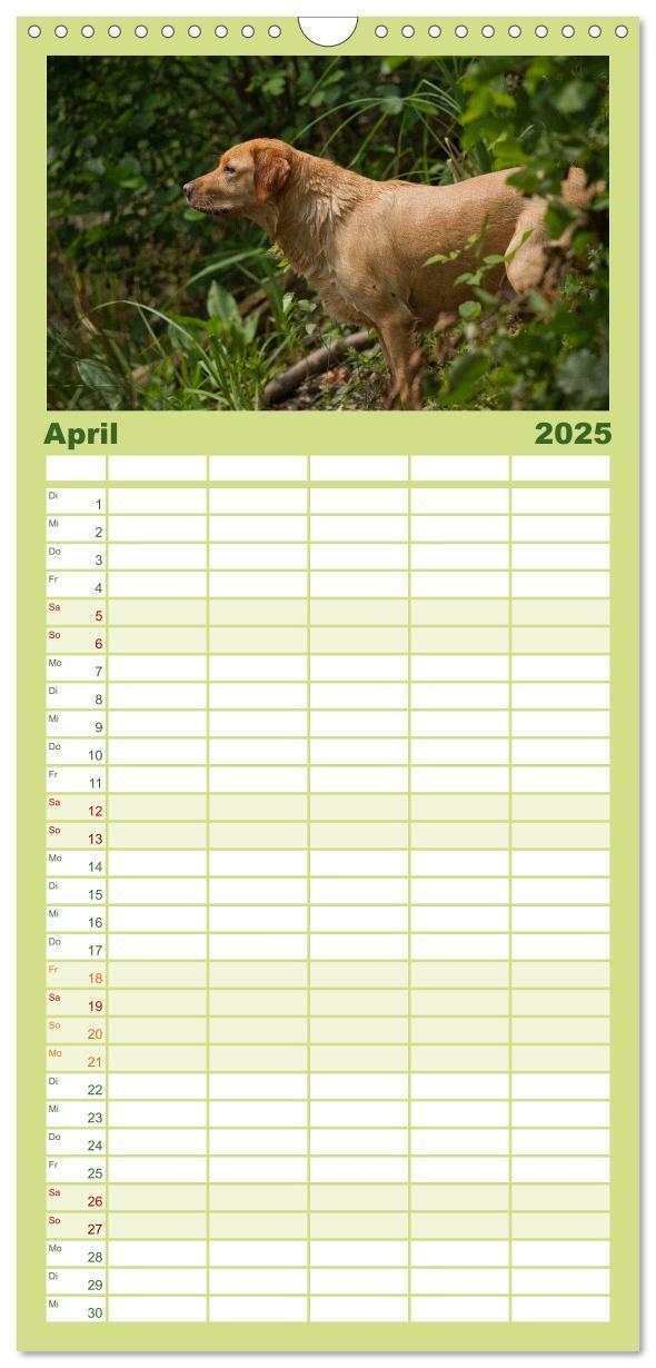 Bild: 9783457120217 | Familienplaner 2025 - Faszination Hund mit 5 Spalten (Wandkalender,...