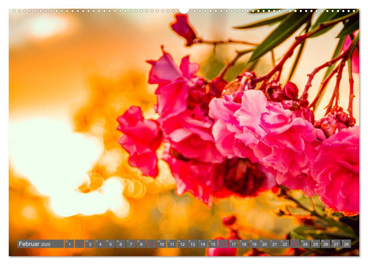 Bild: 9783435222308 | Madeira - Insel der Blumen 2025 (Wandkalender 2025 DIN A2 quer),...