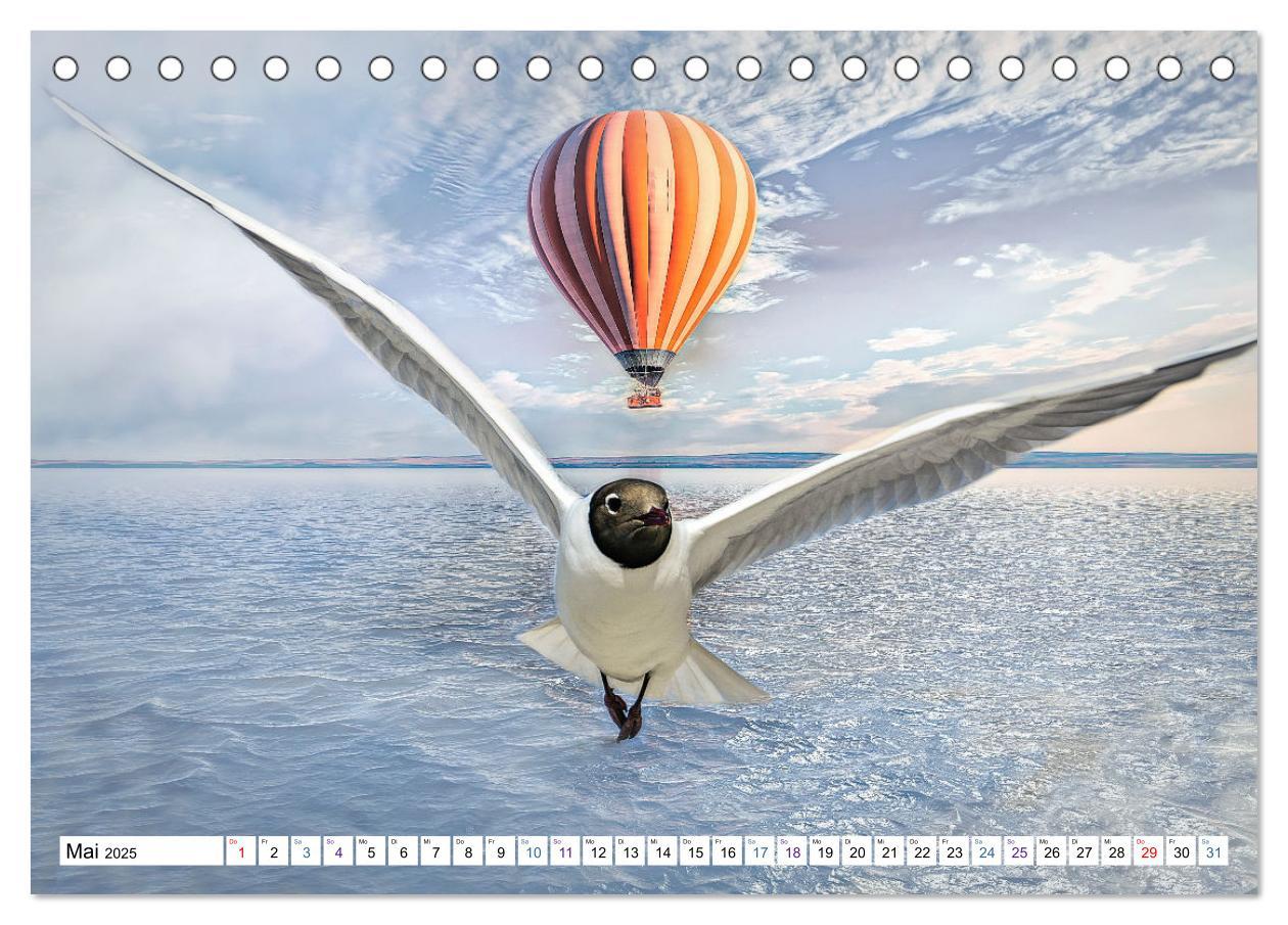 Bild: 9783435067398 | Fliegen, Fliegen - humorvolle Montagen (Tischkalender 2025 DIN A5...