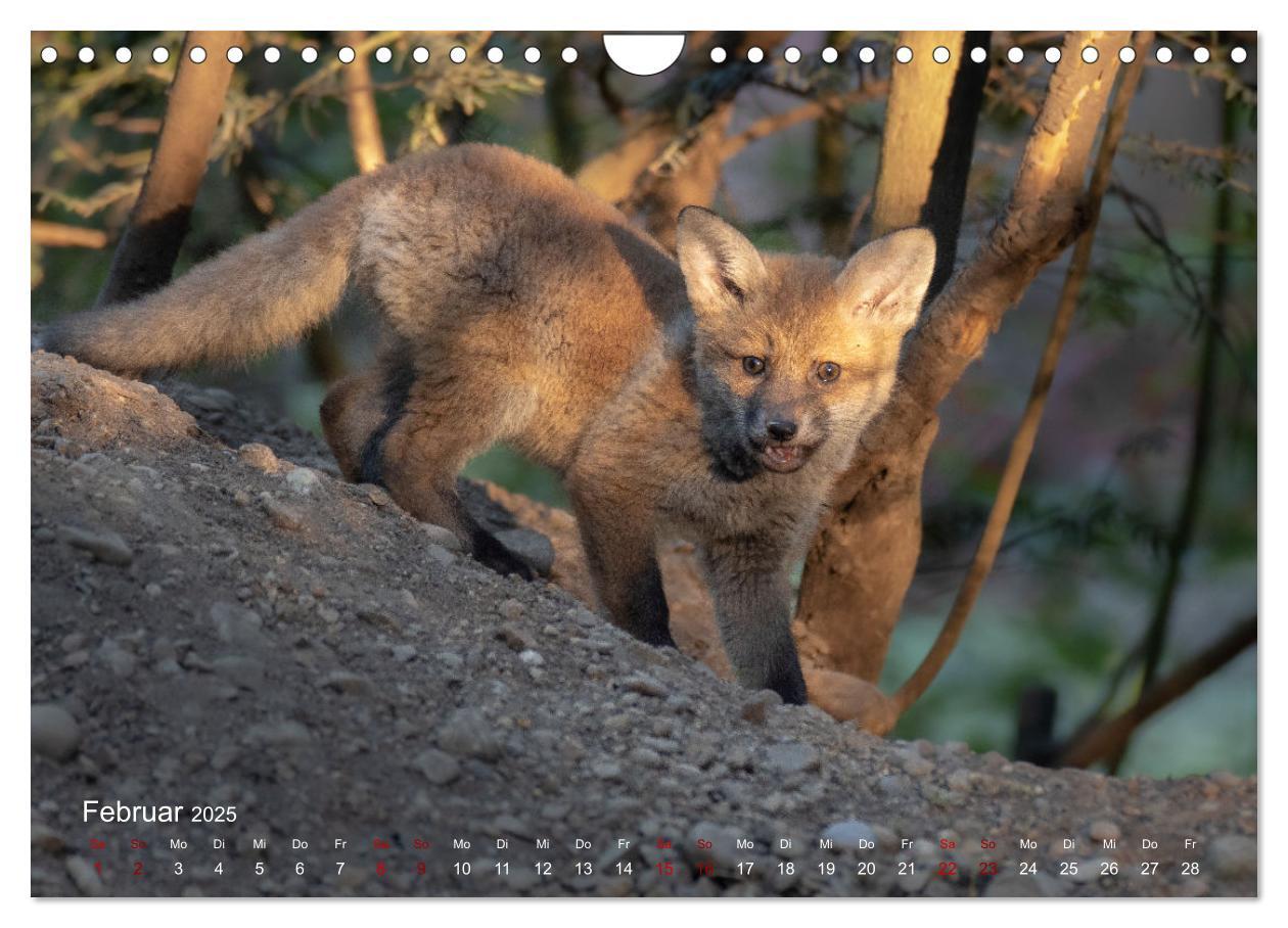 Bild: 9783435099597 | Moments in Nature (Wandkalender 2025 DIN A4 quer), CALVENDO...