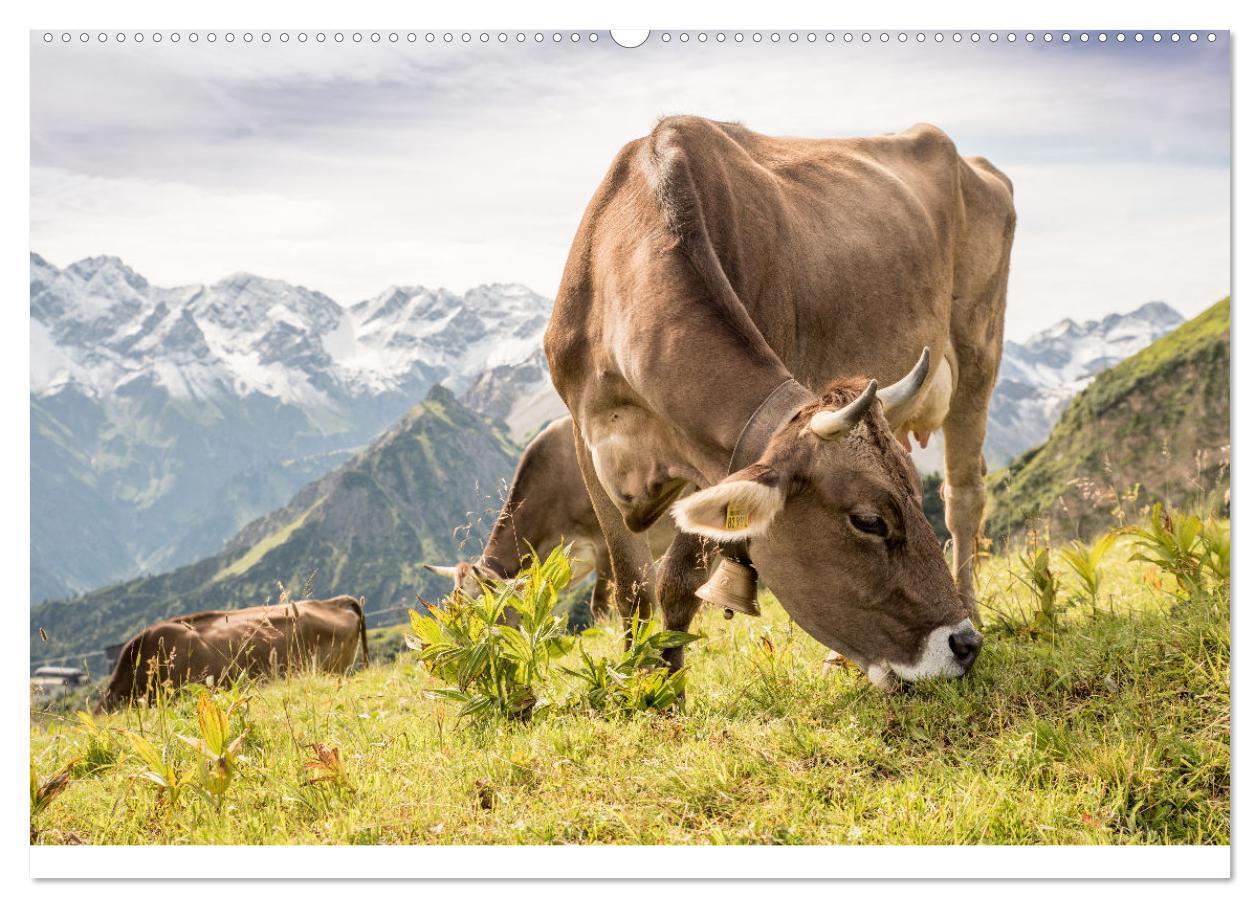 Bild: 9783383965920 | Heimweh Allgäu 2025 (hochwertiger Premium Wandkalender 2025 DIN A2...