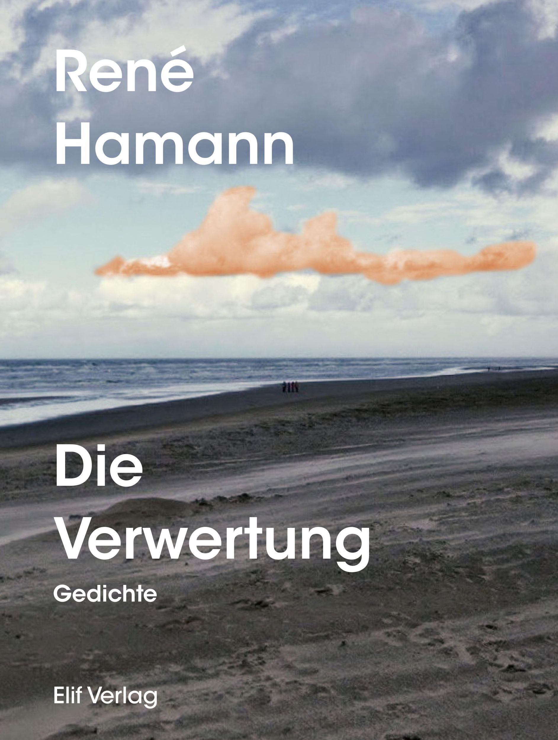 Cover: 9783946989400 | Die Verwertung | Gedichte | René Hamann | Buch | 78 S. | Deutsch