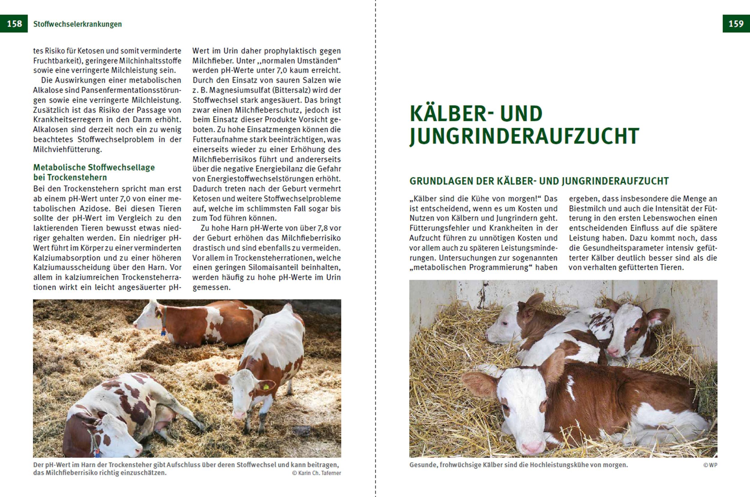 Bild: 9783702022617 | Fruchtbare Kühe - Gesunde Kälber | Walter Peinhopf-Petz (u. a.) | Buch