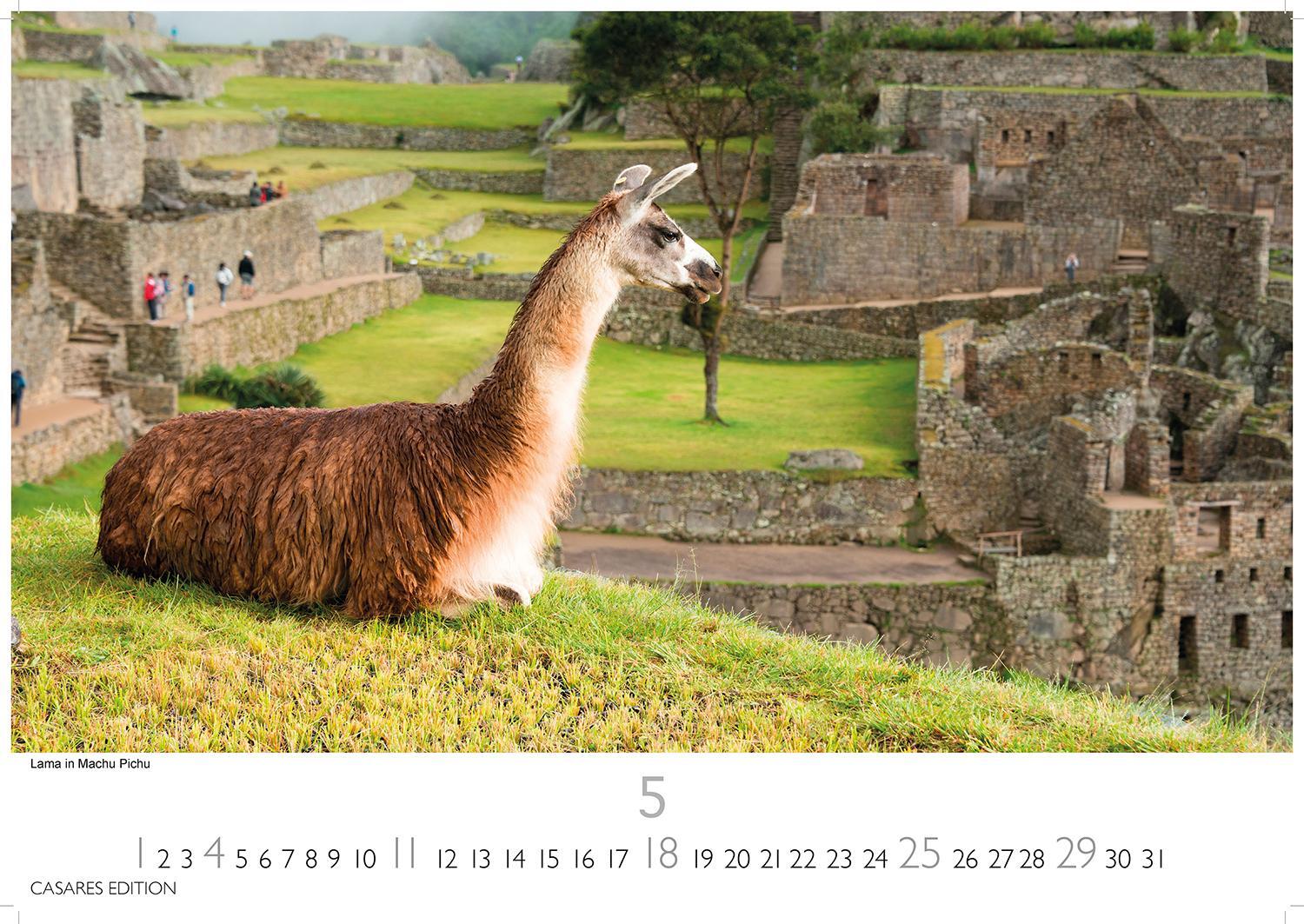 Bild: 9781835242582 | Peru 2025 L 35x50cm | Kalender | 14 S. | Deutsch | 2025