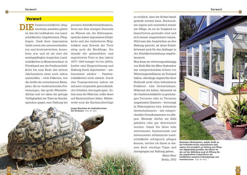 Bild: 9783866591813 | Die Pantherschildkröte | Stigmochelys Pardalis | Mario Herz | Buch