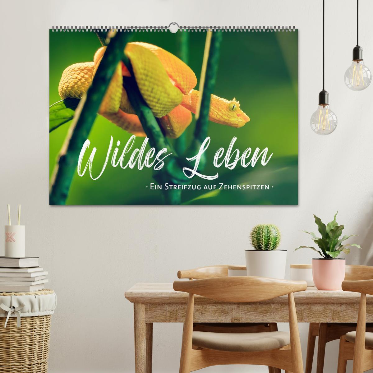 Bild: 9783383815836 | Wildes Leben - Ein Streifzug auf Zehenspitzen (Wandkalender 2025...