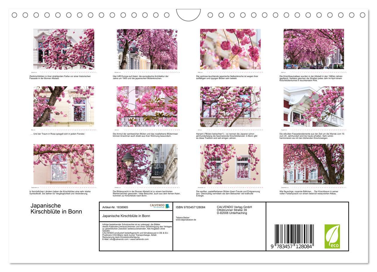 Bild: 9783457128084 | Japanische Kirschblüte in Bonn (Wandkalender 2025 DIN A4 quer),...