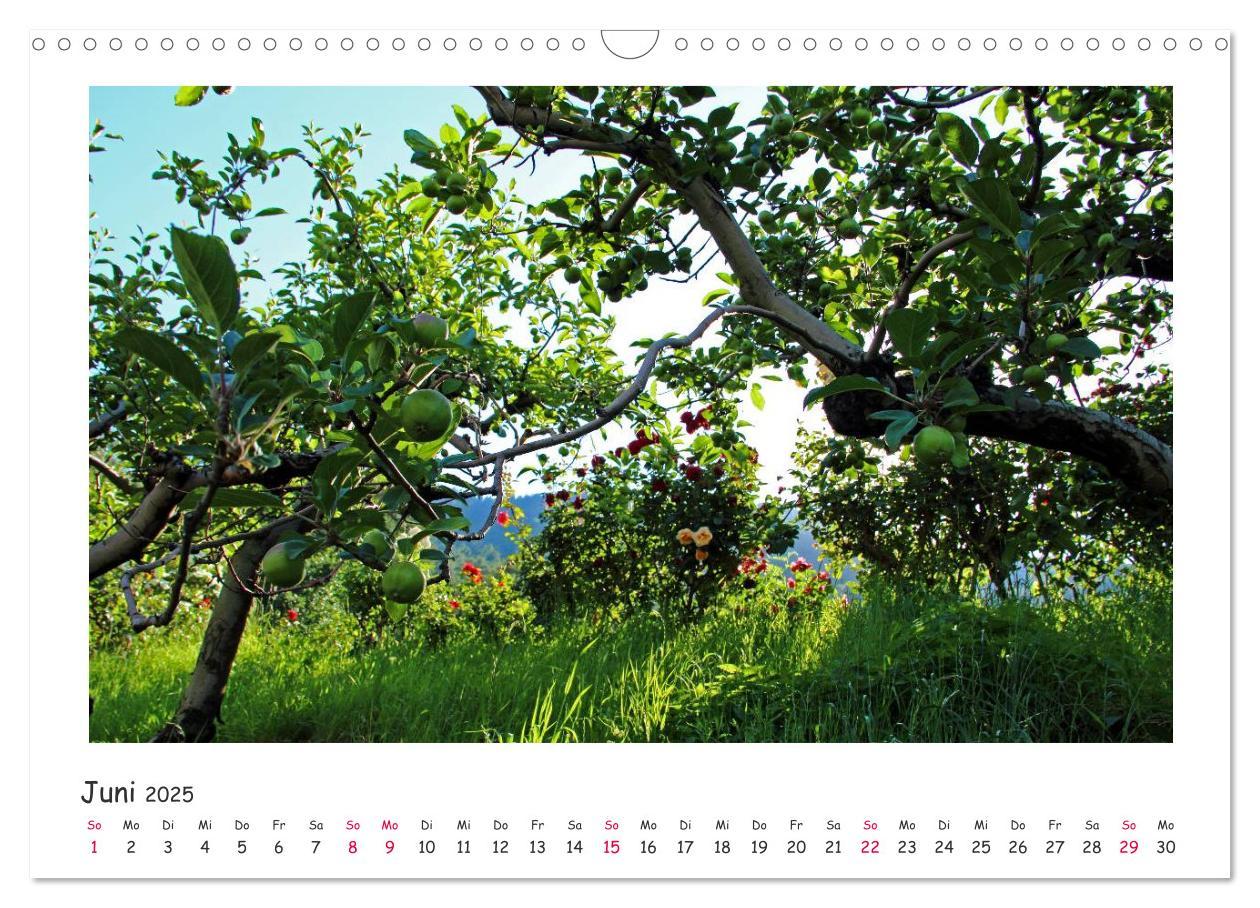 Bild: 9783435817252 | Tor des Südens (Wandkalender 2025 DIN A3 quer), CALVENDO...