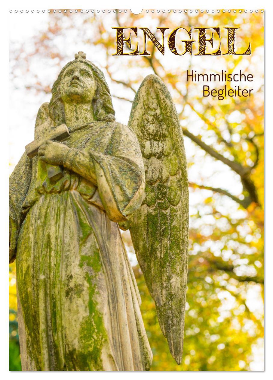 Cover: 9783435887750 | Engel - Himmlische Begleiter (Wandkalender 2025 DIN A2 hoch),...