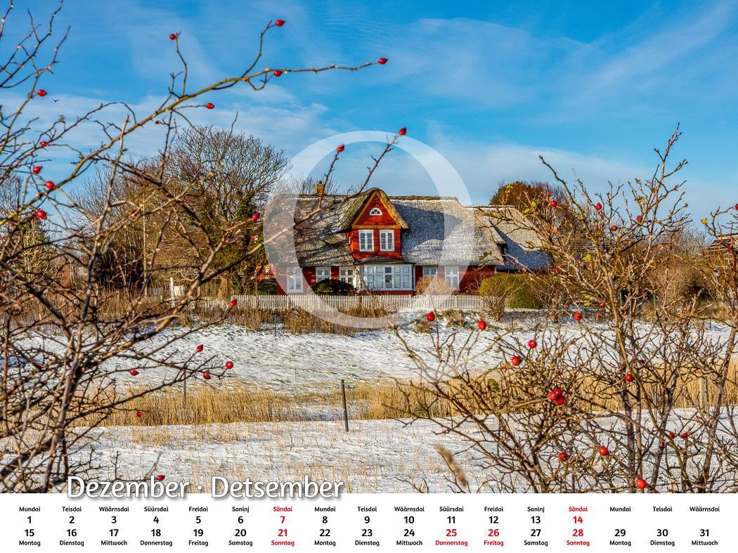 Bild: 9783924422028 | Amrum 2025 | Foto-Kalender | Kalender | Deutsch | 2025 | Quedens, Leif