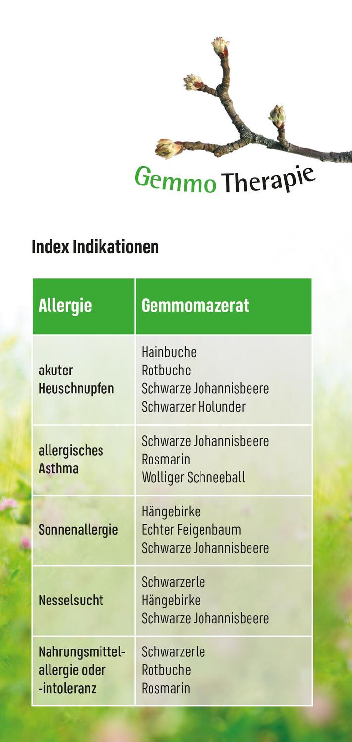 Bild: 9783945181300 | Allergien | heile dich | Andreas Nieswandt | Taschenbuch | Deutsch