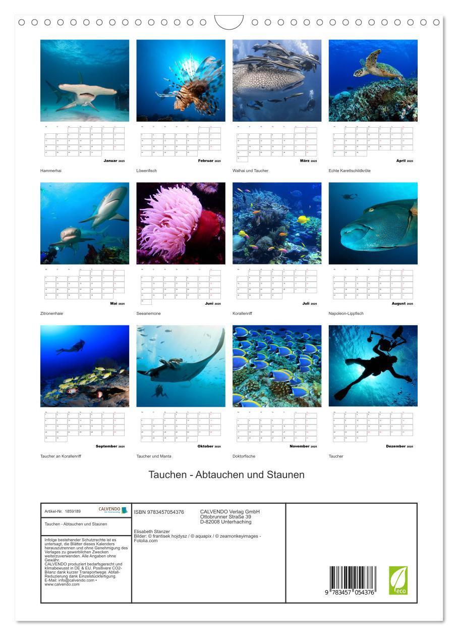 Bild: 9783457054376 | Tauchen - Abtauchen und Staunen (Wandkalender 2025 DIN A3 hoch),...