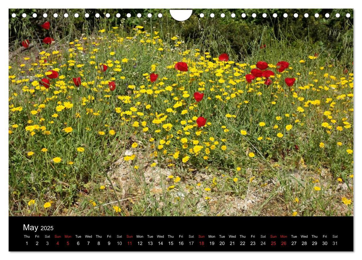 Bild: 9781325956555 | The Greek Island Of Ikaria (Wall Calendar 2025 DIN A4 landscape),...