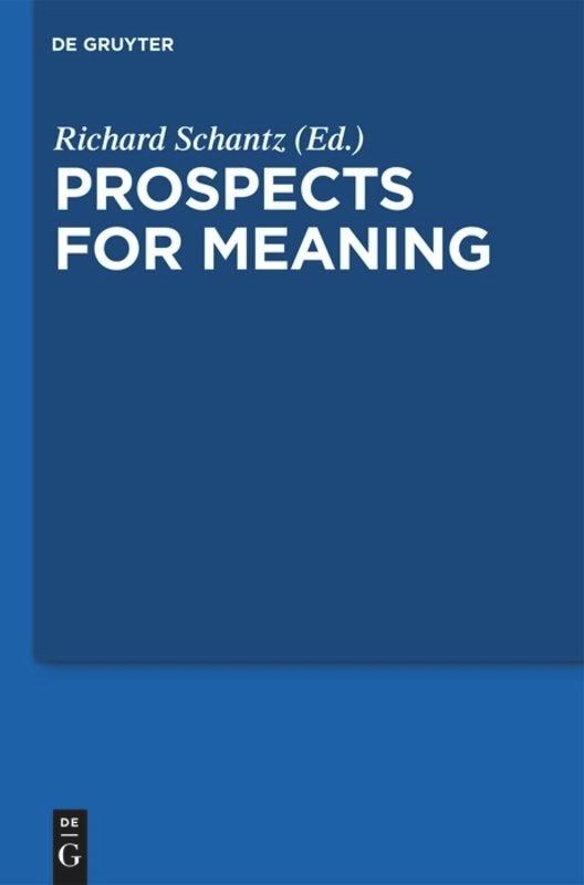 Cover: 9783110196238 | Prospects for Meaning | Richard Schantz | Buch | VIII | Englisch