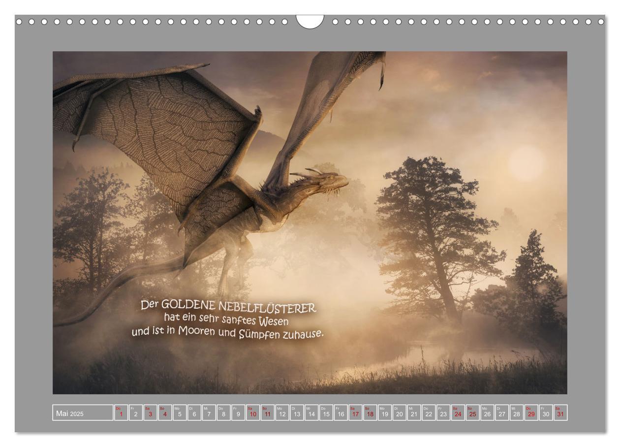 Bild: 9783383987274 | Wo die wilden Drachen wohnen (Wandkalender 2025 DIN A3 quer),...