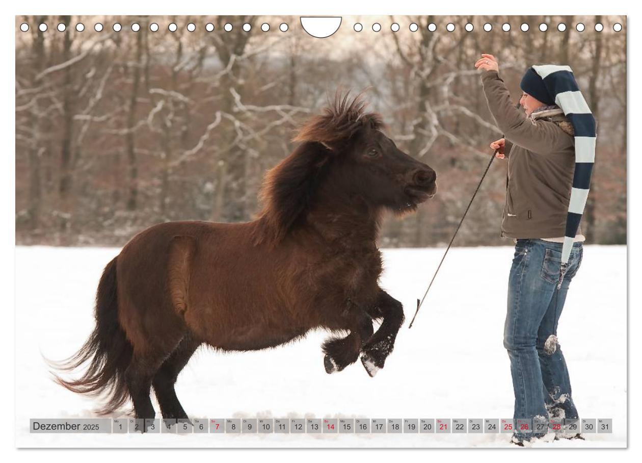 Bild: 9783435594160 | Natural Horsemanship - Partnerschaft mit Pferden (Wandkalender 2025...