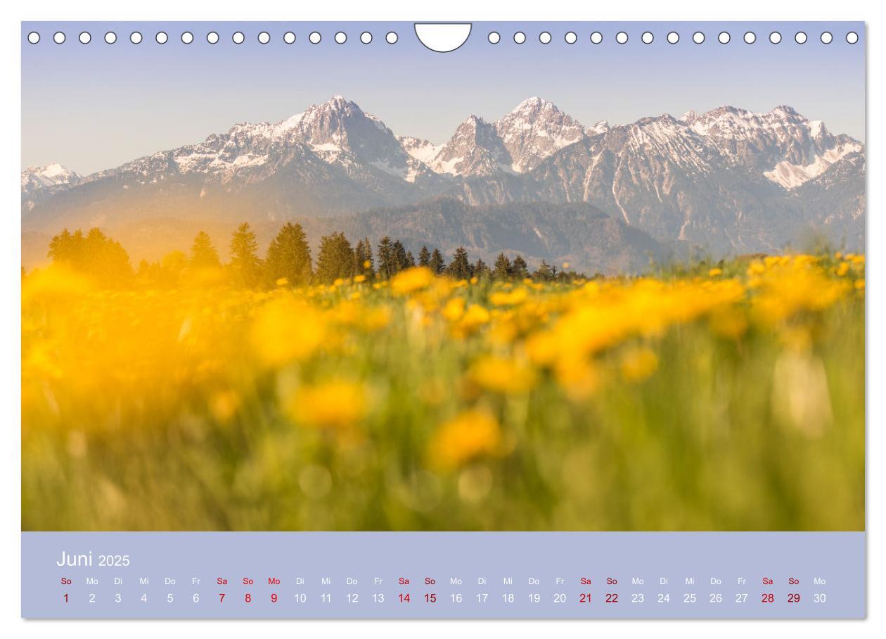 Bild: 9783383966804 | Heimweh Allgäu 2025 (Wandkalender 2025 DIN A4 quer), CALVENDO...