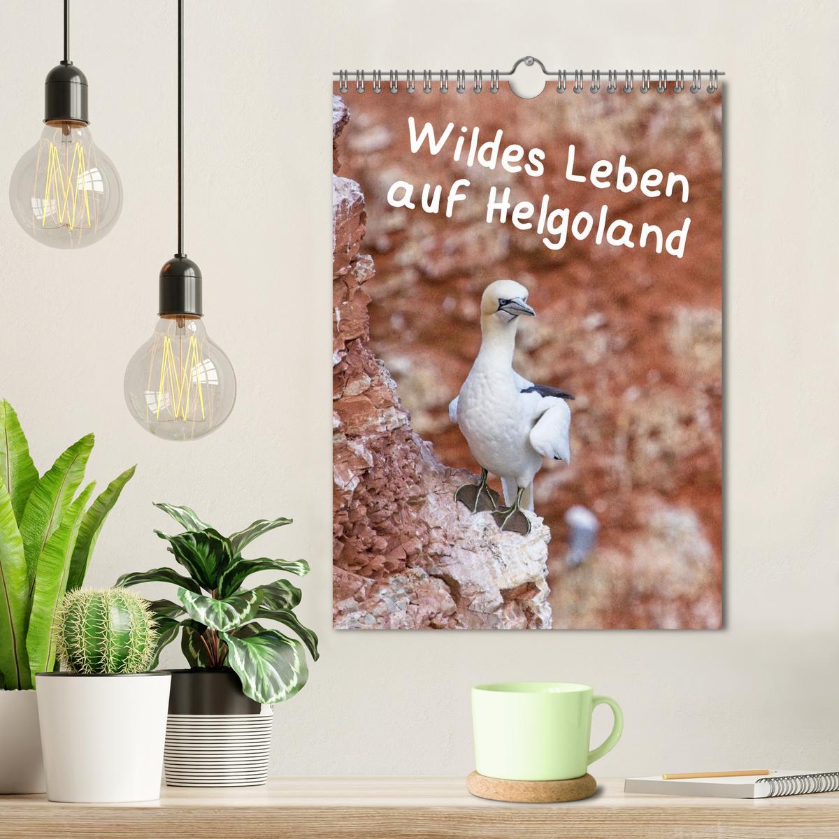 Bild: 9783435869565 | Wildes Leben auf Helgoland (Wandkalender 2025 DIN A4 hoch),...