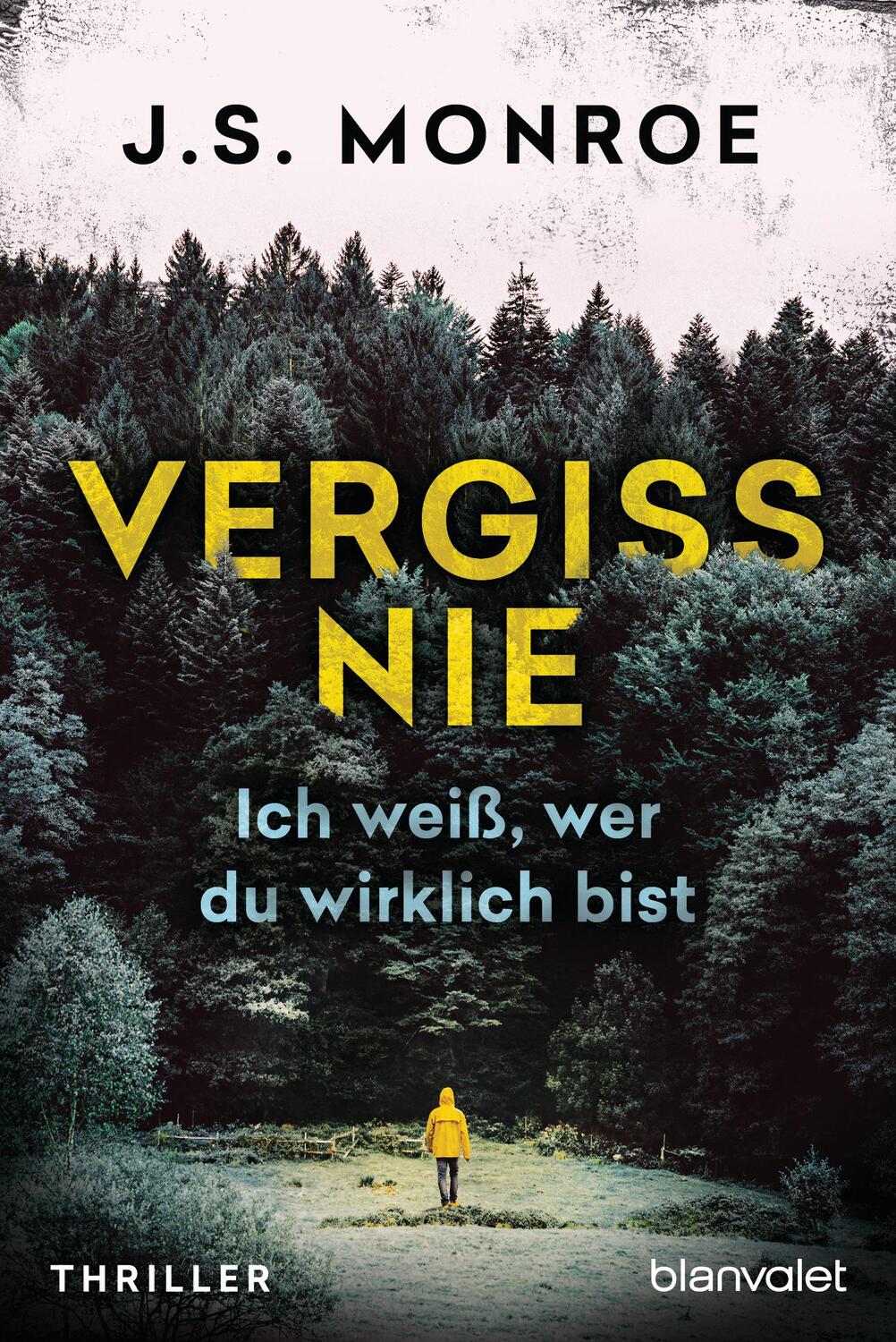 Cover: 9783734108051 | Vergiss nie - Ich weiß, wer du wirklich bist | Thriller | J. S. Monroe