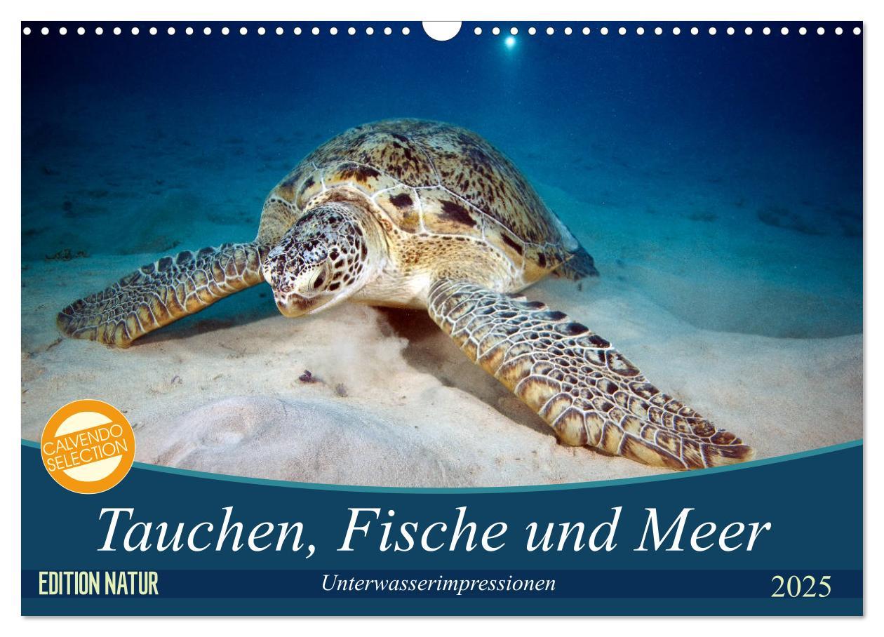 Cover: 9783435410088 | Tauchen, Fische und Meer (Wandkalender 2025 DIN A3 quer), CALVENDO...