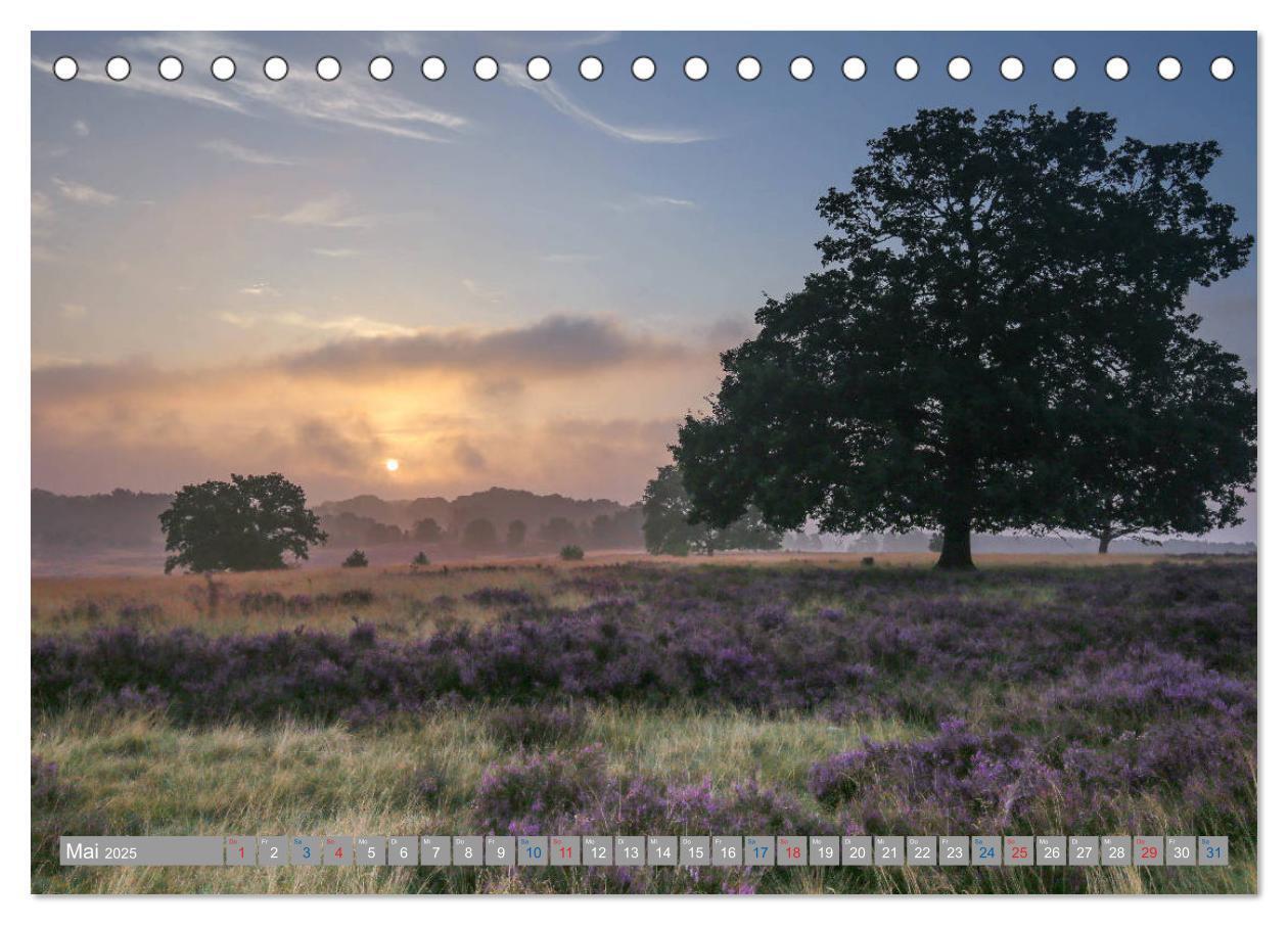 Bild: 9783435457632 | Lüneburger Heide - Faszinierend schön (Tischkalender 2025 DIN A5...