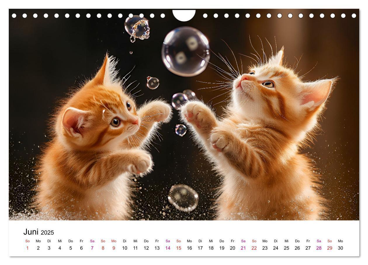 Bild: 9783457218242 | Katzenzauber - Samtpfoten im Jahreslauf (Wandkalender 2025 DIN A4...