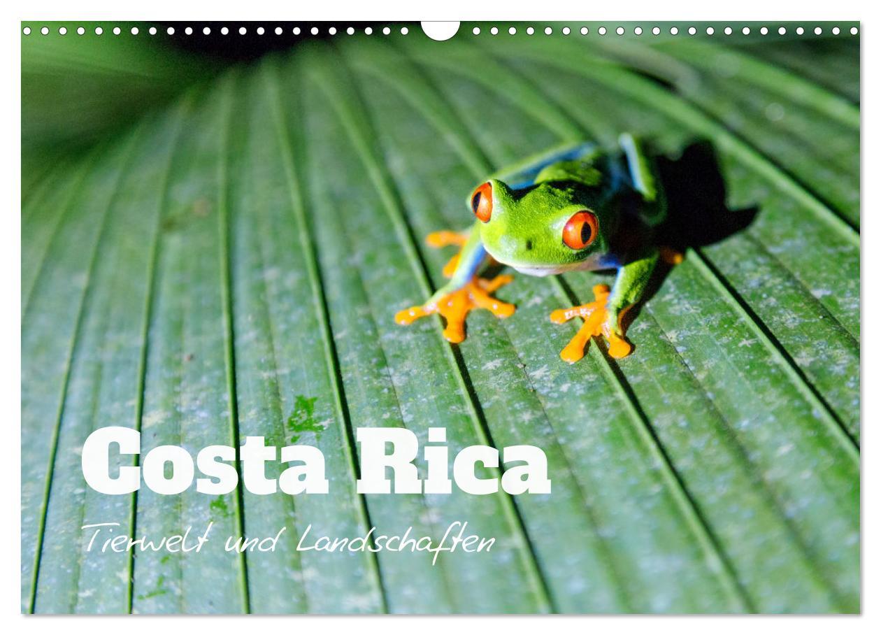 Cover: 9783383949401 | Costa Rica - Tierwelt und Landschaften (Wandkalender 2025 DIN A3...