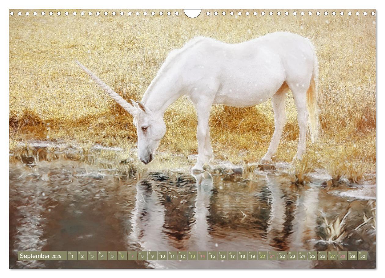 Bild: 9783383960000 | Einhorn Zauber - anmutige Einhornbilder (Wandkalender 2025 DIN A3...