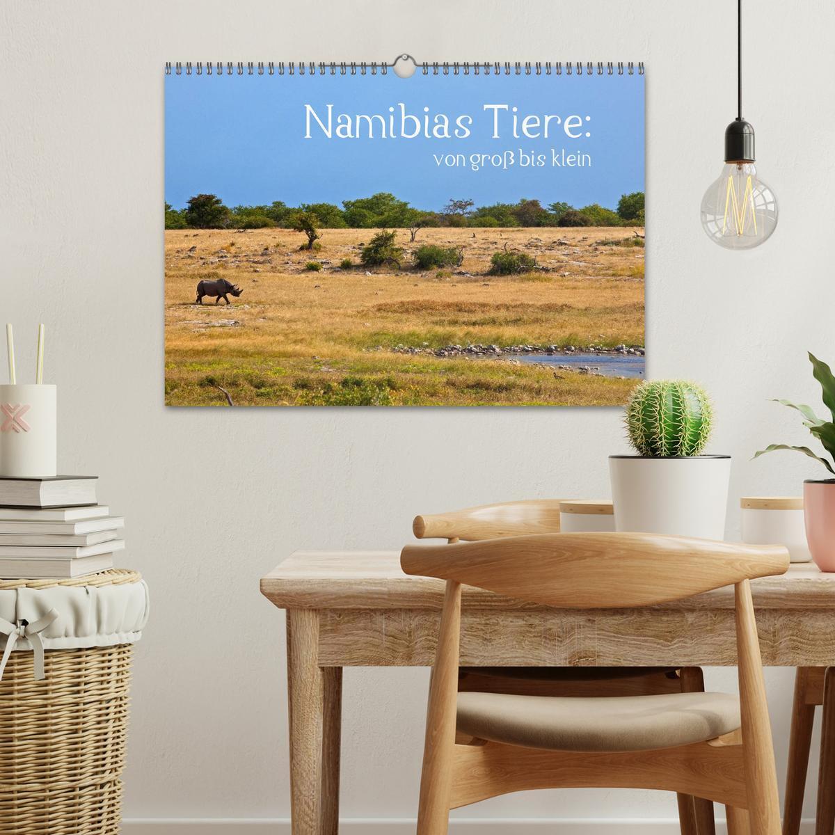 Bild: 9783435777280 | Namibias Tiere: von groß bis klein (Wandkalender 2025 DIN A3 quer),...