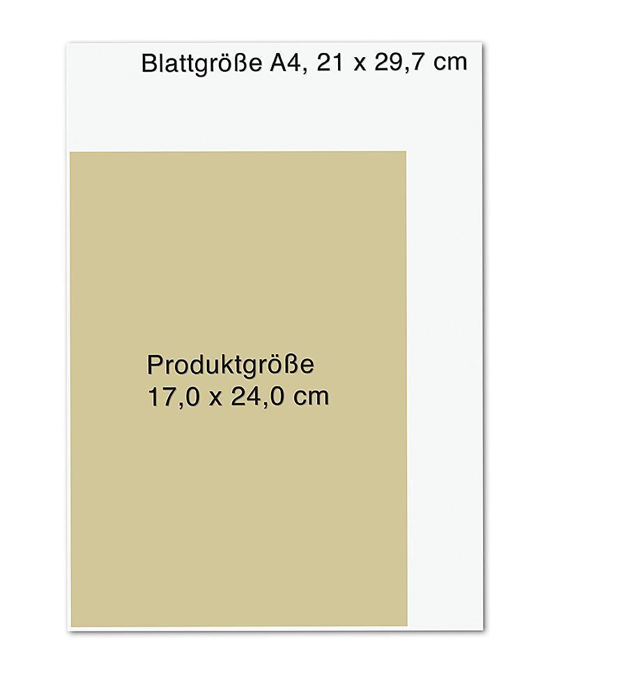 Bild: 9783426659007 | Wissen, was stärkt | Dr. Johanna Budwig-Stiftung | Taschenbuch | 2022