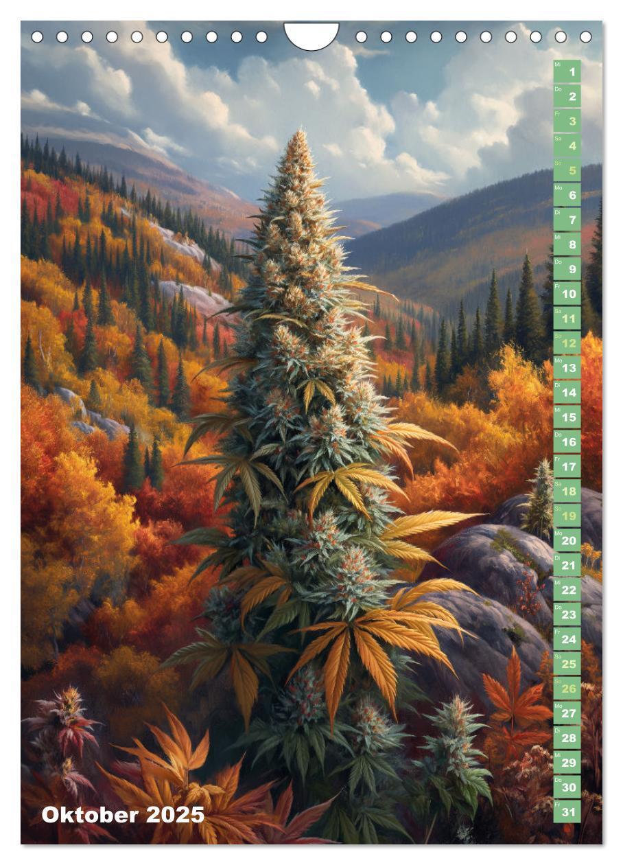 Bild: 9783383764660 | Rauschende Aussichten - Der ultimative Cannabis-Kalender...