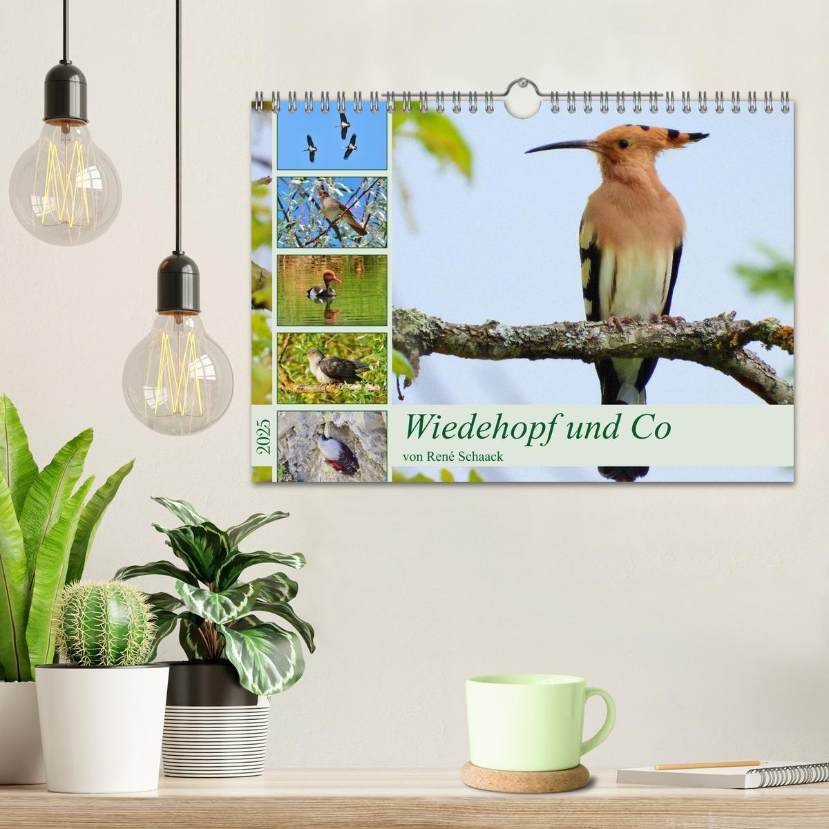 Bild: 9783383790669 | Wiedehopf und Co - von René Schaack (Wandkalender 2025 DIN A4...