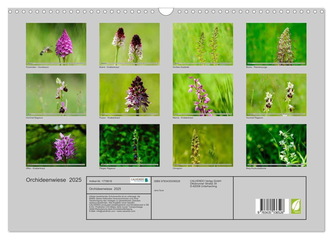 Bild: 9783435536528 | Orchideenwiese 2025 (Wandkalender 2025 DIN A3 quer), CALVENDO...