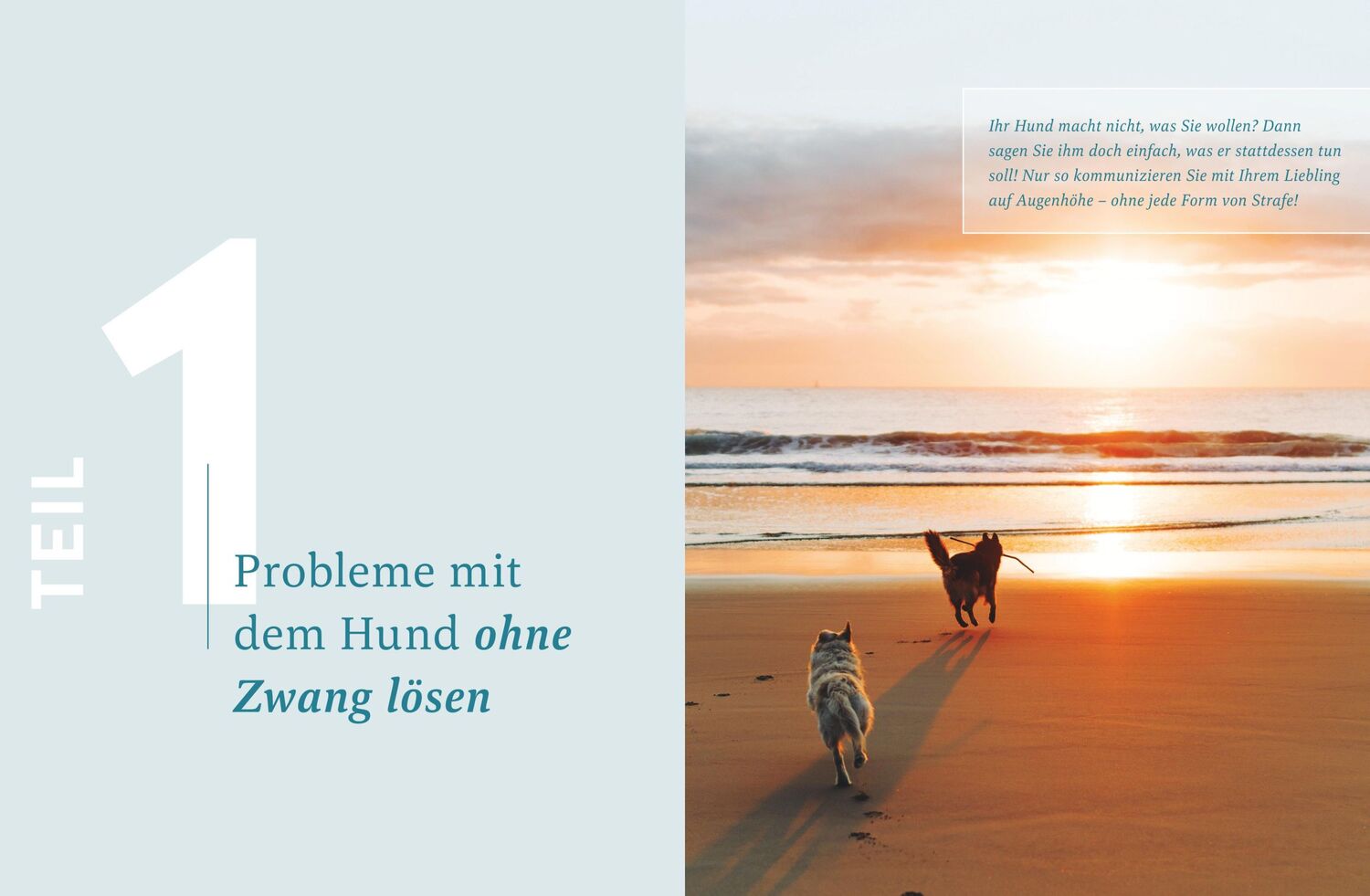 Bild: 9783833882593 | Hilfe, mein Hund macht, was er will! | André Henkelmann | Buch | 2023